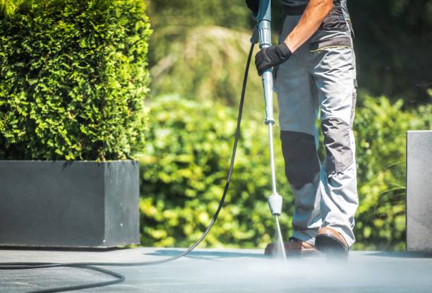 Boat and Dock Cleaning in Waverly, MI