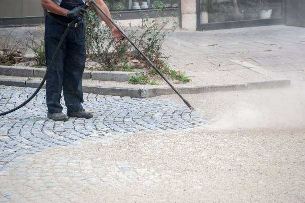 Trusted Waverly, MI Pressure Washing Services Experts