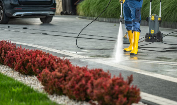  Waverly, MI Pressure Washing Pros