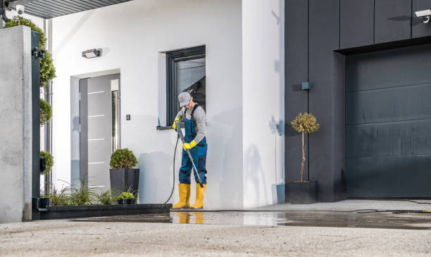 Best Fence Cleaning  in Waverly, MI